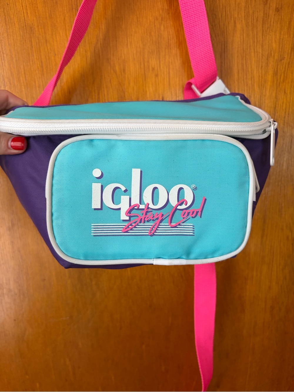 Igloo Teal & Purple Colorblock Cooler Fanny Pack with Pink Strap